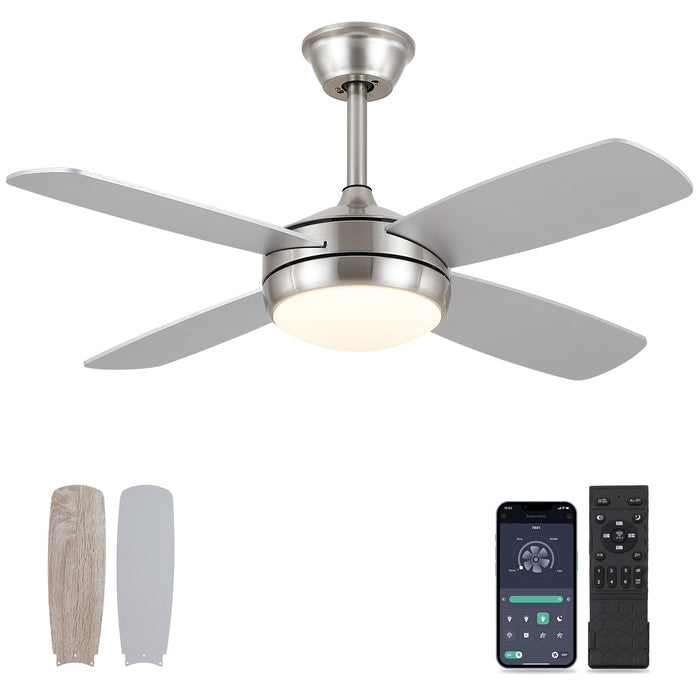 42in Ceiling Fan with Light and Dimmable and Reversible Motor